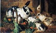 unknow artist Rabbits 198 oil painting picture wholesale